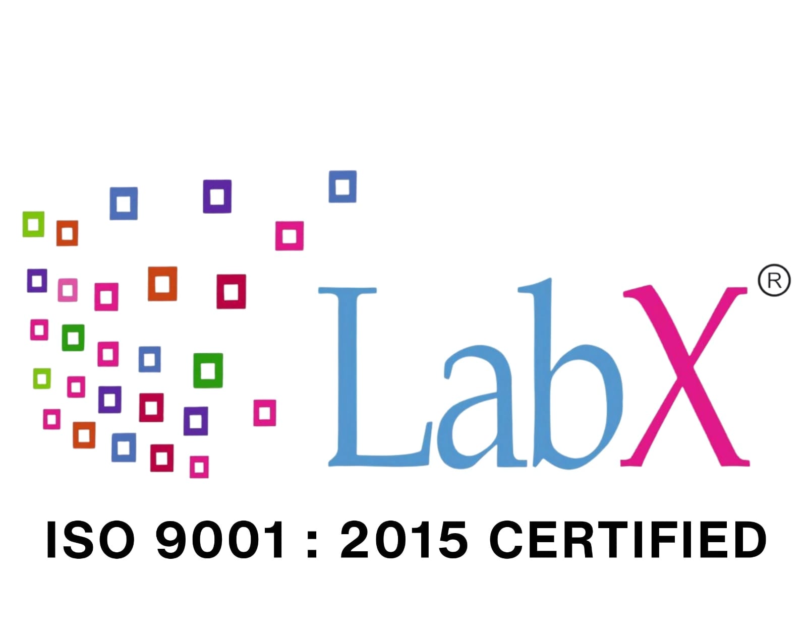 LabX logo
